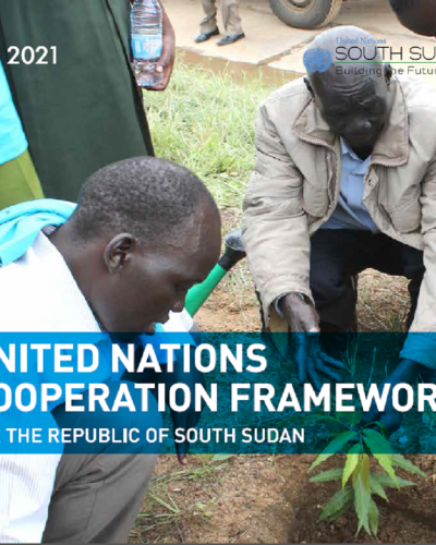 United Nations Cooperation Framework