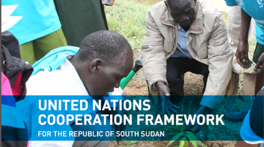 United Nations Cooperation Framework